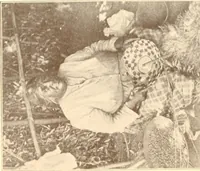 An illustration from Indian basketry, and How to make Indian and other baskets (1903)
