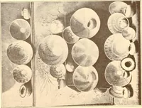 An illustration from Indian basketry, and How to make Indian and other baskets (1903)