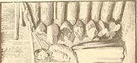An illustration from Indian basketry, and How to make Indian and other baskets (1903)