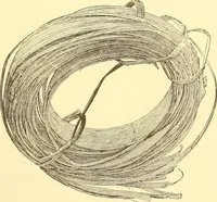 An illustration from Indian basketry, and How to make Indian and other baskets (1903)