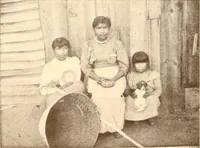 An illustration from Indian basketry, and How to make Indian and other baskets (1903)