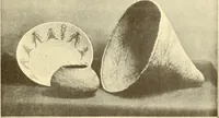 An illustration from Indian basketry, and How to make Indian and other baskets (1903)
