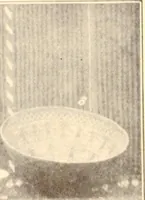 Picture 69 of 428 from Indian basketry, and How to make Indian and other baskets (1903), leaf 91