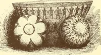 Picture 70 of 428 from Indian basketry, and How to make Indian and other baskets (1903), leaf 93