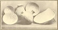 An illustration from Indian basketry, and How to make Indian and other baskets (1903)