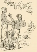 An illustration from Indian conjuring (1922)