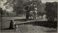 An illustration from Indian cotton (1915)