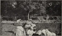 An illustration from Indian cotton (1915)