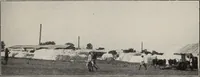 An illustration from Indian cotton (1915)