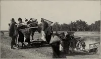 An illustration from Indian cotton (1915)
