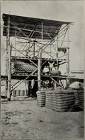 An illustration from Indian cotton (1915)