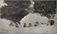 Picture 34 of 44 from Indian cotton (1915), leaf 217