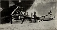 An illustration from Indian cotton (1915)