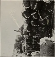 Picture 10 of 44 from Indian cotton (1915), leaf 78