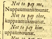 Picture 2 of 3 from The Indian grammar begun: or, An essay to bring the Indian language into rules, for the help of such as desire to learn the same, for the furtherance of the Gospel among them. (1666), leaf 72