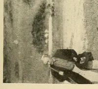 An illustration from Indian houses of Puget Sound (1921)