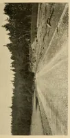 An illustration from Indian houses of Puget Sound (1921)