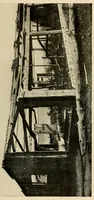 An illustration from Indian houses of Puget Sound (1921)