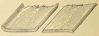 An illustration from Indian houses of Puget Sound (1921)