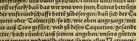 An illustration from Indianische Historia. : Ein schöne kurtzweilige Historia Niclaus Federmanns des Jüngern von Vlm erster Raise so er von Hispania vn[d] Andolosia ausz in Indias des Occeanischen Mörs gethan hat, vnd was ihm allda ist begegnet biss auff sein Widerkunfft inn Hispaniam, auffs kurtzest beschriben, gantz lustig zu lesen (1557)