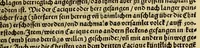 An illustration from Indianische Historia. : Ein schöne kurtzweilige Historia Niclaus Federmanns des Jüngern von Vlm erster Raise so er von Hispania vn[d] Andolosia ausz in Indias des Occeanischen Mörs gethan hat, vnd was ihm allda ist begegnet biss auff sein Widerkunfft inn Hispaniam, auffs kurtzest beschriben, gantz lustig zu lesen (1557)