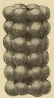 An illustration from Indian notes (1924)