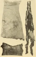 An illustration from Indian notes (1924)