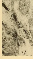 An illustration from Indian notes (1924)