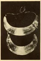 Picture 15 of 16 from Indian notes (1924), leaf 272
