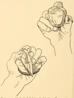 An illustration from Indian notes (1924)