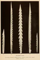 Picture 15 of 20 from The Indians of Tierra del Fuego (1928), leaf 179