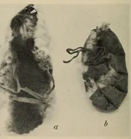 An illustration from The Indians of Tierra del Fuego (1928)