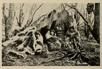 An illustration from The Indians of Tierra del Fuego (1928)