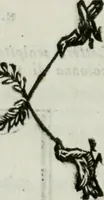 An illustration from Indicazione antiquaria per la villa suburbana dell'eccellentissima casa Albani (1785)