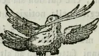 An illustration from Indicazione antiquaria per la villa suburbana dell'eccellentissima casa Albani (1785)