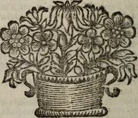 An illustration from Indiculus universalis, rerum ferè omnium, quae in mundo sunt, scientiarum item, artiúmque nomina, aptè, brevitérque colligens. L'univers en abregé .. (1679)
