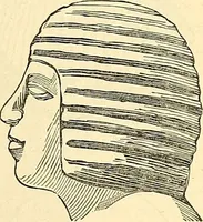 Picture 10 of 179 from Indigenous races of the earth; (1857), leaf 118