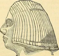 Picture 12 of 179 from Indigenous races of the earth; (1857), leaf 119