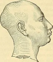 Picture 24 of 179 from Indigenous races of the earth; (1857), leaf 145