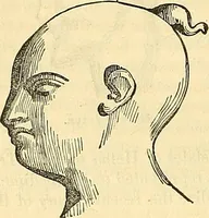 An illustration from Indigenous races of the earth; (1857)