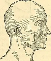 An illustration from Indigenous races of the earth; (1857)