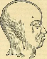 An illustration from Indigenous races of the earth; (1857)