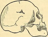 An illustration from Indigenous races of the earth; (1857)
