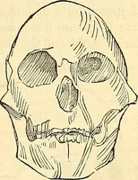 An illustration from Indigenous races of the earth; (1857)
