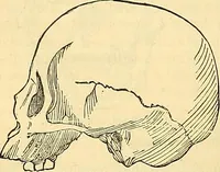 An illustration from Indigenous races of the earth; (1857)
