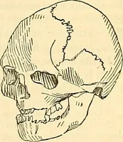 An illustration from Indigenous races of the earth; (1857)