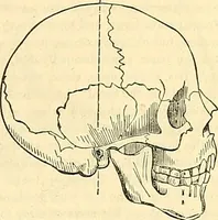 An illustration from Indigenous races of the earth; (1857)