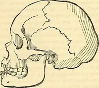 An illustration from Indigenous races of the earth; (1857)