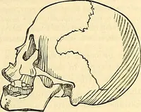 Picture 115 of 179 from Indigenous races of the earth; (1857), leaf 306