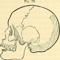 An illustration from Indigenous races of the earth; (1857)
